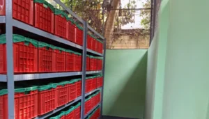 Semi Automatic Crates Curing System
